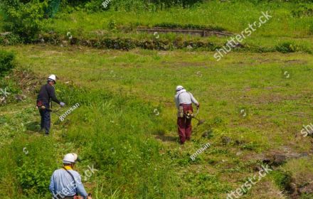 佐賀市の草刈り